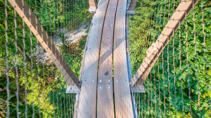 Beautiful Capilano Cliff Walk Suspension Bridge in Vancouver