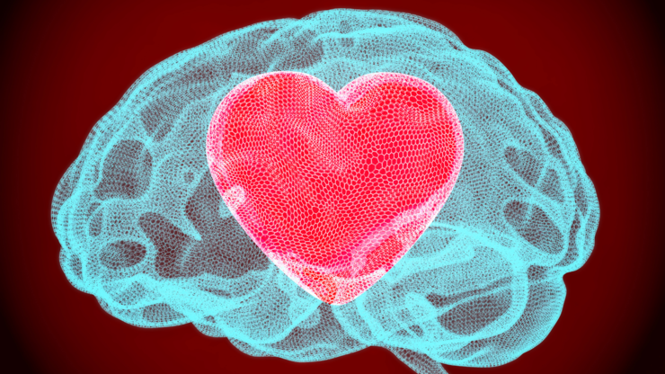 Heart inside brain, smart love concept. 3D rendering