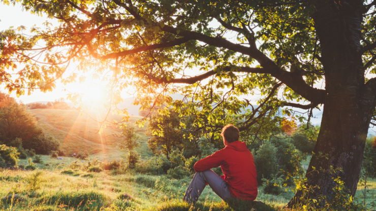 Man sitting outdoor under a tree and admiring the sunrise