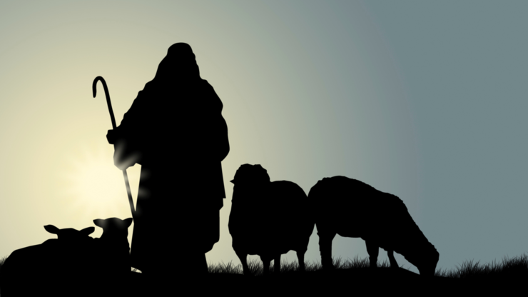 Shepherd With Sheep