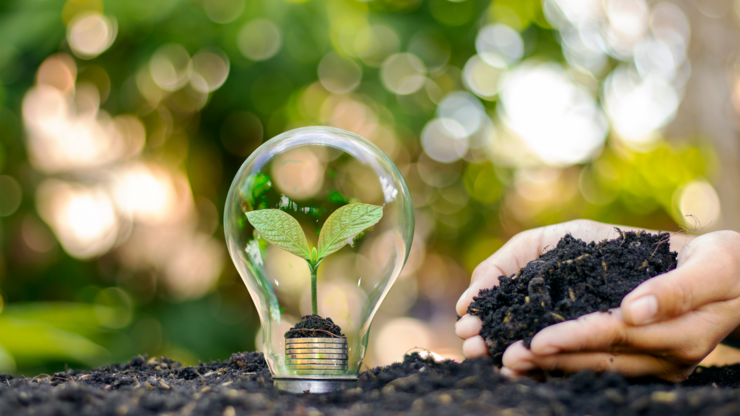 A tree growing on a silver coin in a light bulb energy saving and environmental concept on earth day.