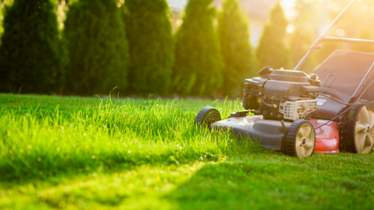 Lawn mower cutting green grass in residential area in late afternoon light