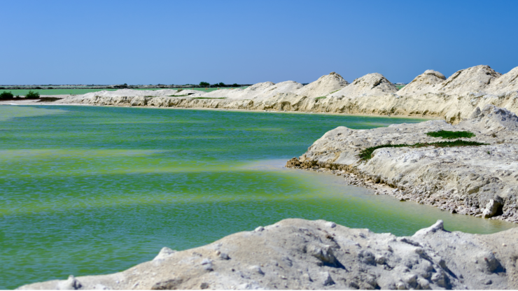 Green salt pool in Rio Lagartos in Mexico