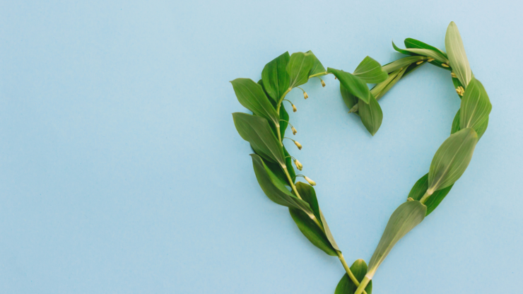 Floral green heart on blue paper background, flat lay with space for text. Polygonatum green stem. Happy Mothers day concept. Hello spring. Greeting card template. Earth love