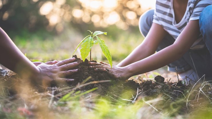 mother with children helping planting tree in nature for save earth. environment eco concept