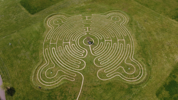 maze in a field