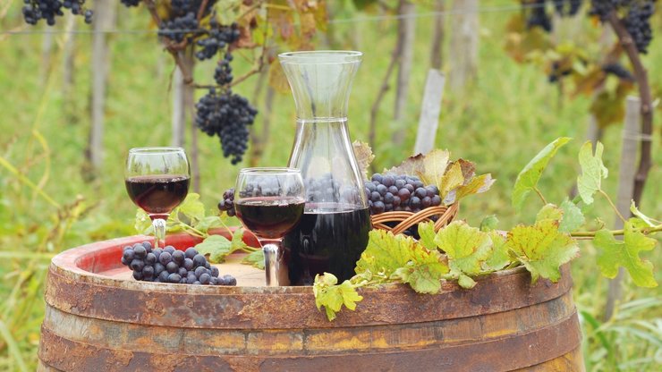 Glasses and bottle with red wine in vineyard