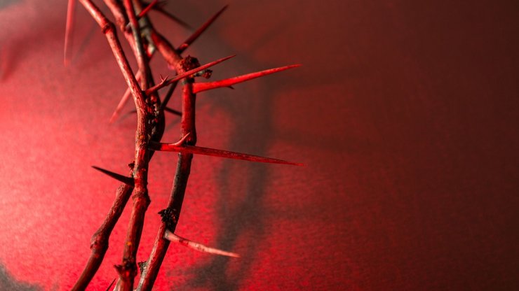 Crown of Thorns