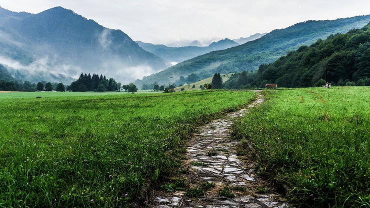 Walkway, Grass, Fields, Meadows, Mountains, Fog, Foggy