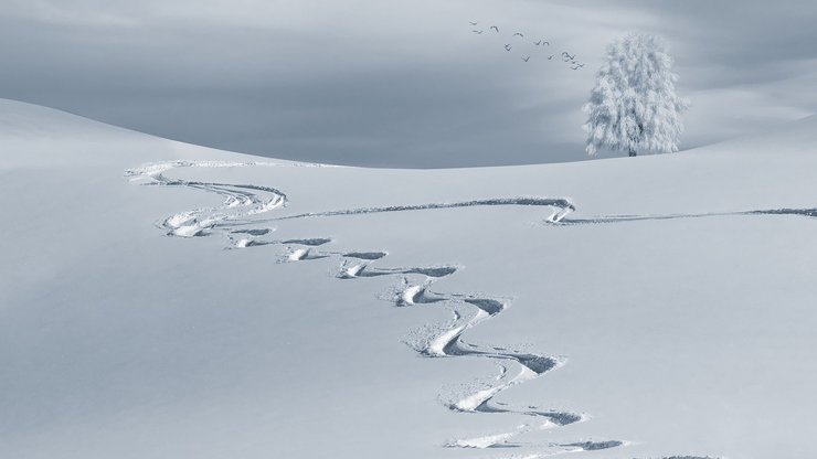 Wintry, Snow, Backcountry Skiiing, Slopes, Sky Slopes